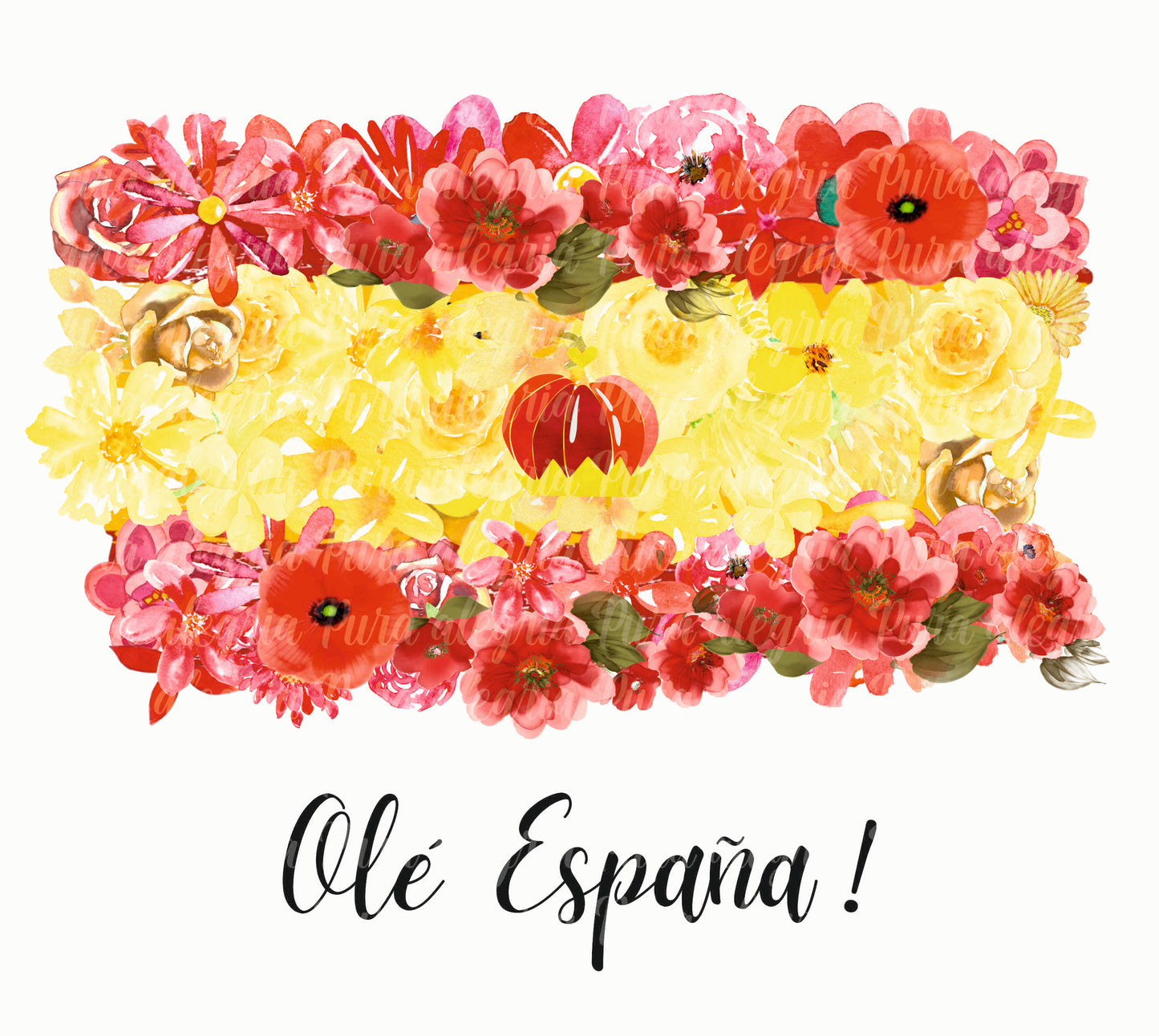 Olé Spain flag!
