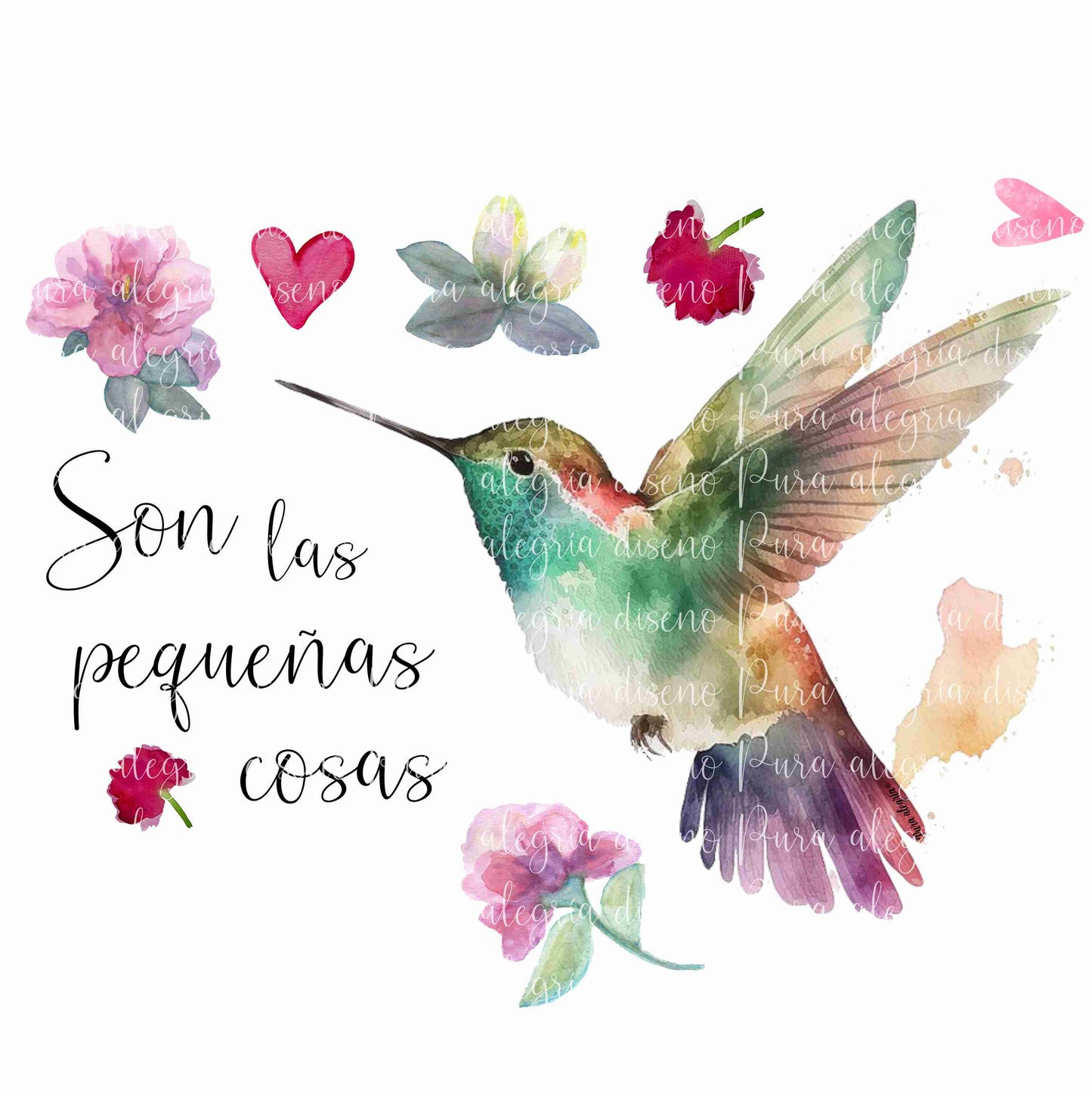 Estampa Colibrí, Son las pequeñas cosas