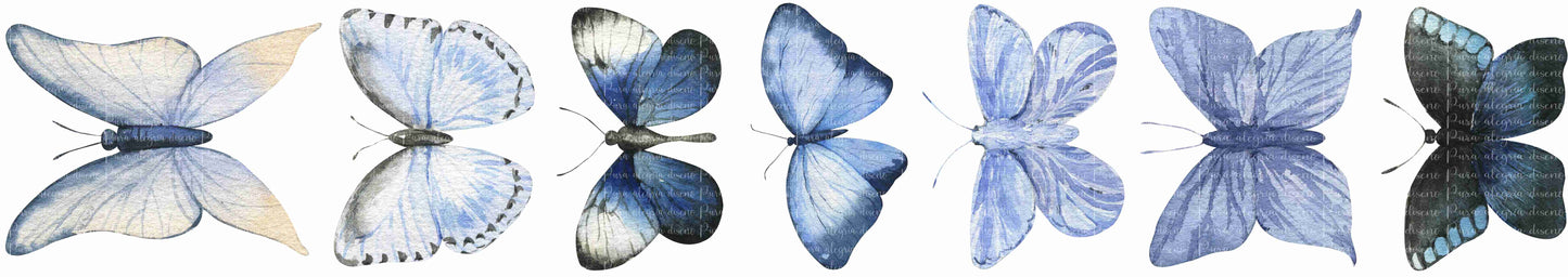 Plancha Mini, Mariposas azules