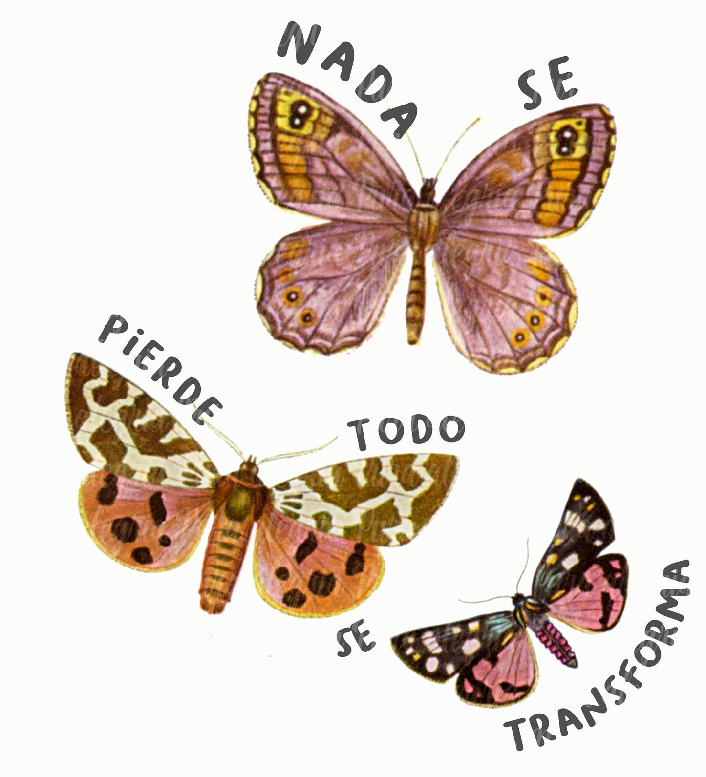 Estampa Nada se pierde todo se transforma, mariposas