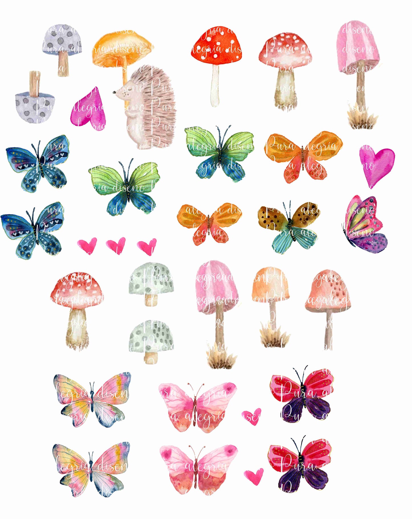 Plancha Hongos y mariposas