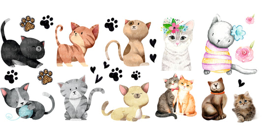 Plancha Ay ! Que lindos gatitos