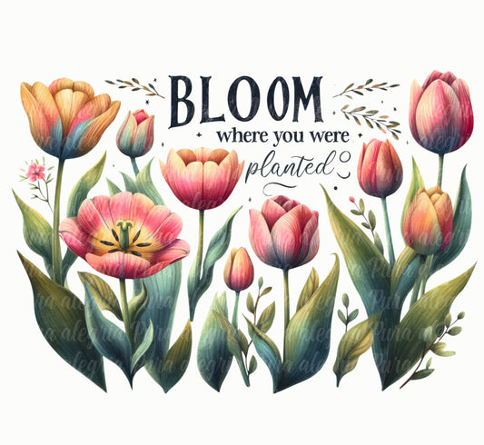 Estampa Bloom where you were planted, tulipanes