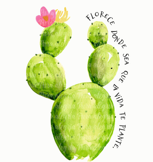 Estampa Cactus florece