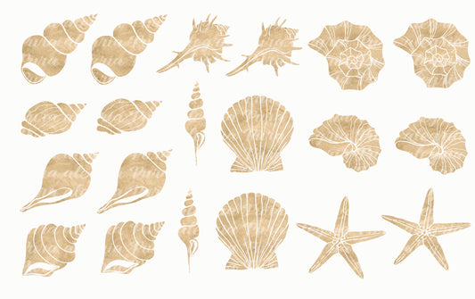 Grilled sea snails 