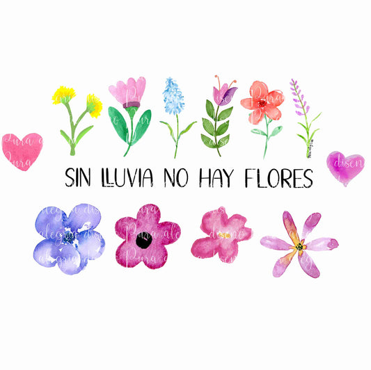 Estampa Sin lluvia no hay flores
