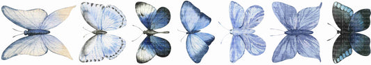 Plancha Mini, Mariposas azules