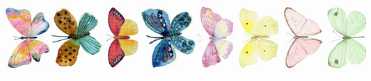 Plancha Mini, Mariposas una más linda que otra
