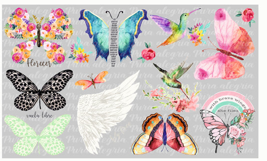 Plancha Mariposas y colibríes