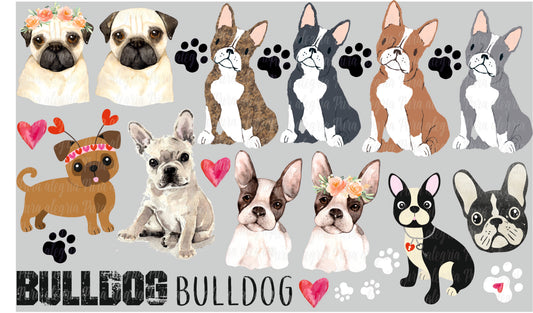 Plancha Perros Bulldog