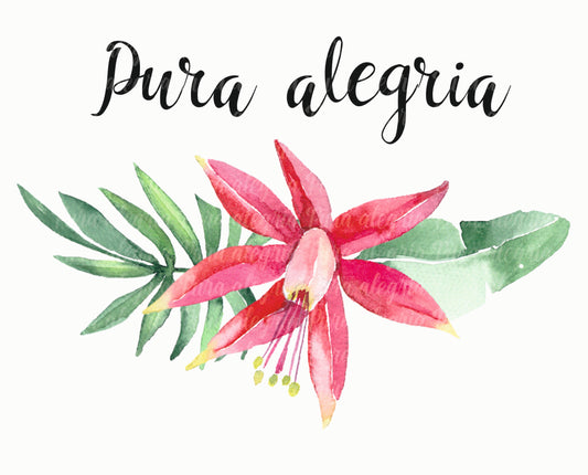 Estampa Pura alegría flor